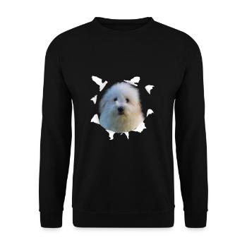 Coton de Tulear - Chien Coton de Tulear - Sweat-shirt Unisexe - noir - Devant - Alina (178cm) & Michal (187cm)