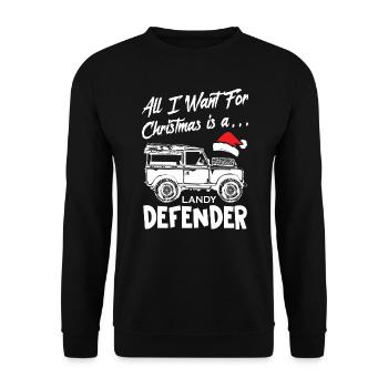 All I Want For Christmas is a Landy Defender - Unisex Sweatshirt - black - Front - Alina (178cm) & Michal (187cm)