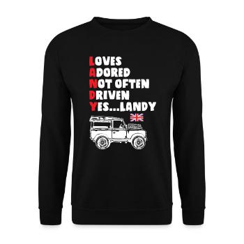 Its Landy - Unisex Sweatshirt - black - Front - Alina (178cm) & Michal (187cm)