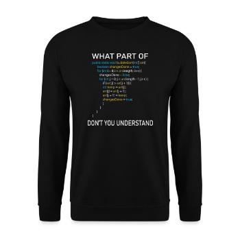Programmierer Spruch Informatiker Geschenkidee - Unisex Pullover - Schwarz - Vorne - Alina (178cm) & Michal (187cm)
