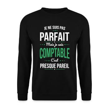 Je ne suis pas parfait mais je suis comptable - Sweat-shirt Unisexe - noir - Devant - Alina (178cm) & Michal (187cm)