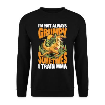 I'm Not Always Grumpy Sometimes I Train MMA - Unisex Pullover - Schwarz - Vorne - Alina (178cm) & Michal (187cm)