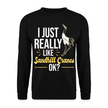 Kanadakranich | Kanadischer Kranich Vogel Geschenk - Unisex Pullover - Schwarz - Vorne - Alina (178cm) & Michal (187cm)