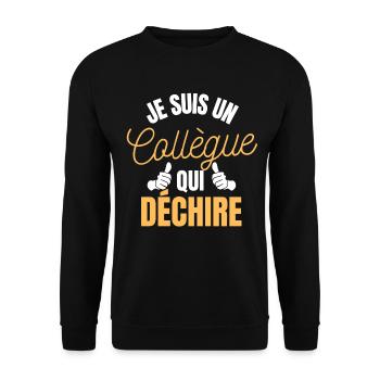 je suis un collègue qui déchire - cadeau amitié - Sweat-shirt Unisexe - noir - Devant - Alina (178cm) & Michal (187cm)