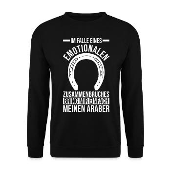 Pferd Reitsport Reiten Pferdesport Araber - Unisex Pullover - Schwarz - Vorne - Alina (178cm) & Michal (187cm)
