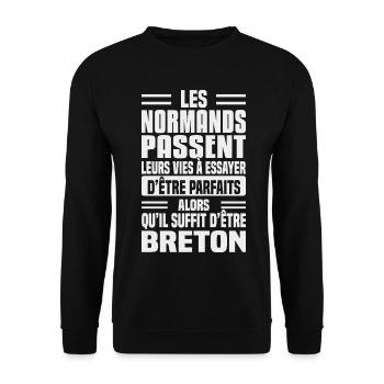 Humour Breton contre Normand - Sweat-shirt Unisexe - noir - Devant - Alina (178cm) & Michal (187cm)