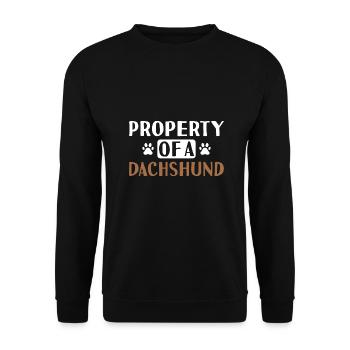 Property Of A Dachshund - Unisex Sweatshirt - black - Front - Alina (178cm) & Michal (187cm)