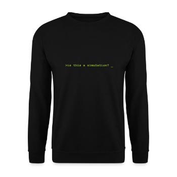 Is this a simulation Programming Informatik - Unisex Pullover - Schwarz - Vorne - Alina (178cm) & Michal (187cm)