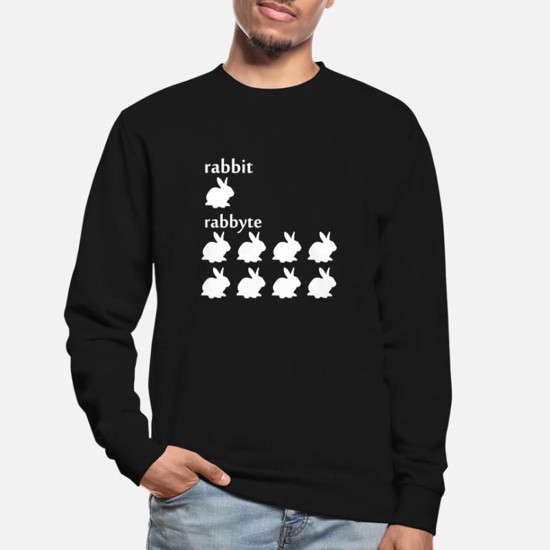 Programmierer Informatiker byte Rabbit Geschenk Unisex Pullover