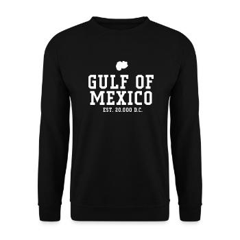 GULF OF MEXICO - Unisex Pullover - Schwarz - Vorne - Alina (178cm) & Michal (187cm)