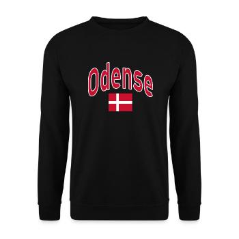Odense Denmark flag - Unisex Sweatshirt - black - Front - Alina (178cm) & Michal (187cm)