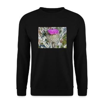 Scotch Baumwolldistel auch Wolldistel - Unisex Pullover - Schwarz - Vorne - Alina (178cm) & Michal (187cm)