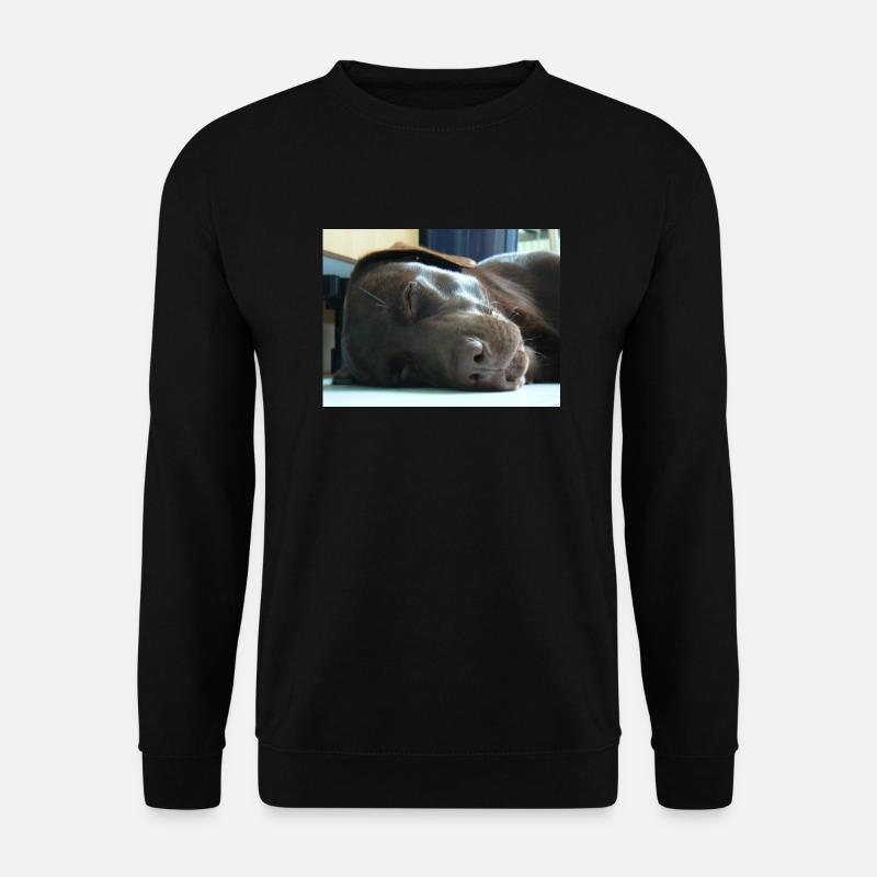 Mein Labrador - Unisex Pullover - Schwarz