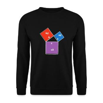 Pythagorean theorem Dreieck Mathe-Liebhaber Gift - Unisex Pullover - Schwarz - Vorne - Alina (178cm) & Michal (187cm)