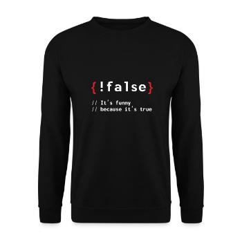 Coding Debug Admin Programme Cadeau - Sweat-shirt Unisexe - noir - Devant - Alina (178cm) & Michal (187cm)