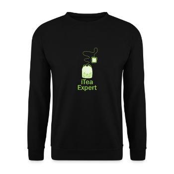 IT Expert Coding Beruf Spruch Geschenk - Unisex Pullover - Schwarz - Vorne - Alina (178cm) & Michal (187cm)
