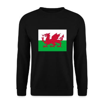 Wales flag - Unisex Sweatshirt - black - Front - Alina (178cm) & Michal (187cm)