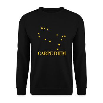 Carpe Diem nutze den Tag Sternbild Zwilling Gemini - Unisex Pullover - Schwarz - Vorne - Alina (178cm) & Michal (187cm)