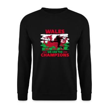 Wales Football 2022 Wales supporters Football - Unisex Sweatshirt - black - Front - Alina (178cm) & Michal (187cm)