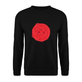 Taches et éruptions d’étoiles naines rouges du système solaire - Sweat-shirt Unisexe - noir - Devant - Alina (178cm) & Michal (187cm)