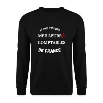 Buchhalter - Wirtschaft - Buchhaltung - Unisex Pullover - Schwarz - Vorne - Alina (178cm) & Michal (187cm)