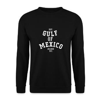 GULF OF MEXICO - Unisex Pullover - Schwarz - Vorne - Alina (178cm) & Michal (187cm)