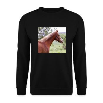 Horse. Horse. - Unisex Sweatshirt - black - Front - Alina (178cm) & Michal (187cm)