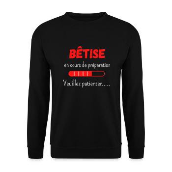 Bêtise en cours de préparation veuillez patienter - Sweat-shirt Unisexe - noir - Devant - Alina (178cm) & Michal (187cm)