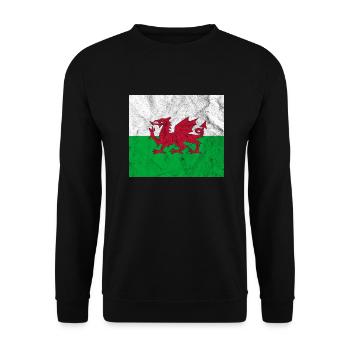 Drapeau du Pays de Galles Vintage - Sweat-shirt Unisexe - noir - Devant - Alina (178cm) & Michal (187cm)