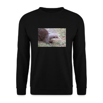 Asian small-clawed otter Zwergotter - Unisex Pullover - Schwarz - Vorne - Alina (178cm) & Michal (187cm)