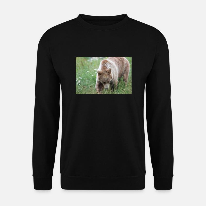 Braunbär Ursus arctos - Unisex Pullover - Schwarz