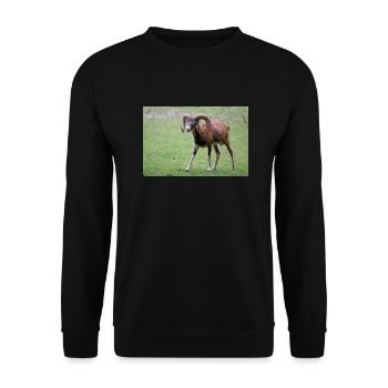 European mouflon Europäischer Mufflon - Unisex Pullover - Schwarz - Vorne - Alina (178cm) & Michal (187cm)