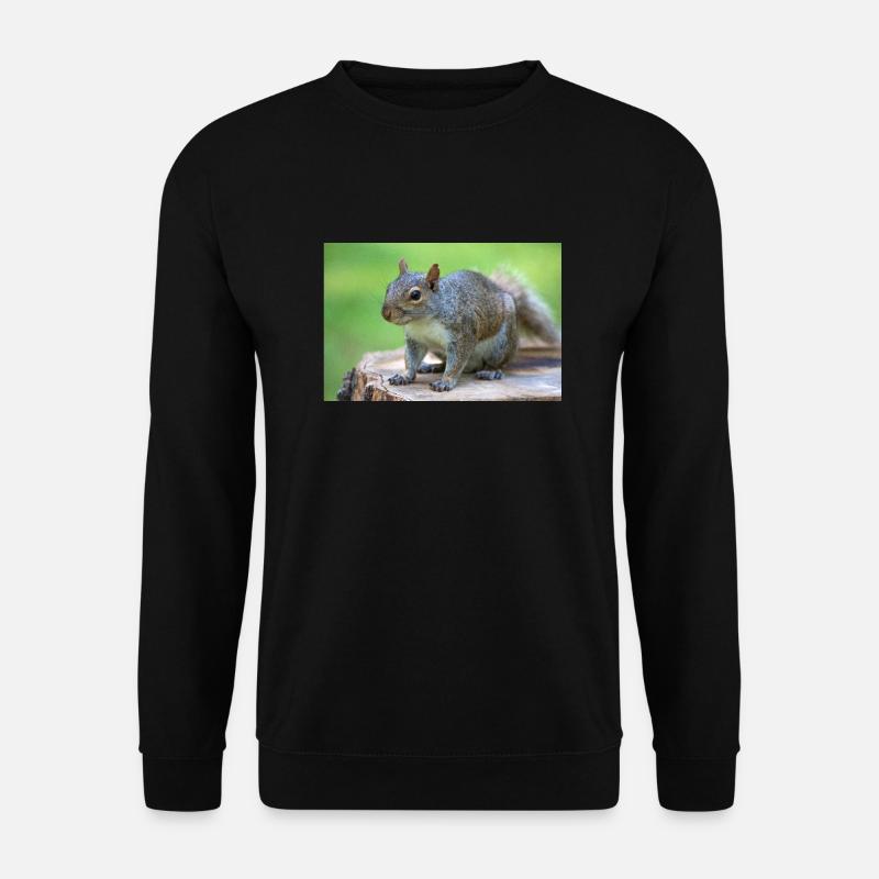 Grauhörnchen Sciurus carolinensis - Unisex Pullover - Schwarz