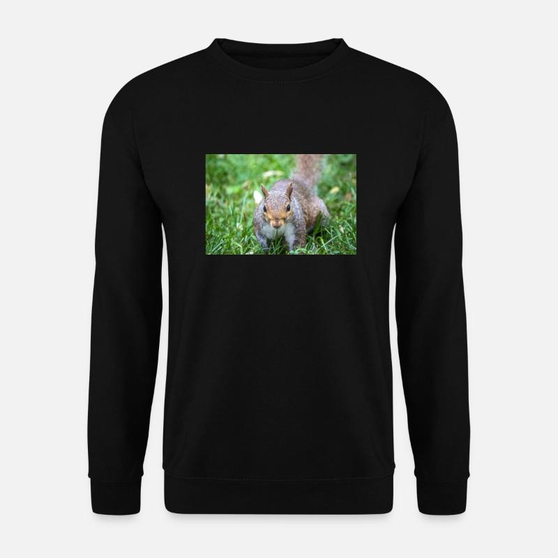 Grauhörnchen Sciurus carolinensis - Unisex Pullover - Schwarz