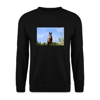 Pferd - Unisex Pullover - Schwarz - Vorne - Alina (178cm) & Michal (187cm)
