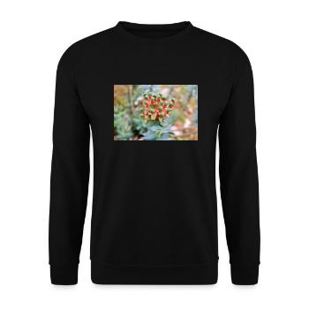 fleur colorée Wolfsmilch (Euphorbia) en fleurs - Sweat-shirt Unisexe - noir - Devant - Alina (178cm) & Michal (187cm)