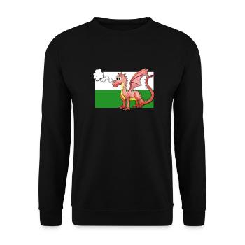 Puffing Welsh Dragon - Gregory - Unisex Sweatshirt - black - Front - Alina (178cm) & Michal (187cm)