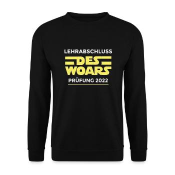 Lehre Österreich Lehrabschlussprüfung LAP Geschenk - Unisex Pullover - Schwarz - Vorne - Alina (178cm) & Michal (187cm)