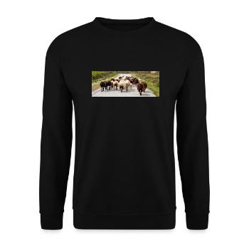 Chèvre de montagne dans le parc national Parc de l’île de Kos - Sweat-shirt Unisexe - noir - Devant - Alina (178cm) & Michal (187cm)