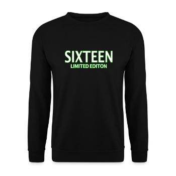 16. Geburtstag 16 Jahre Sechzehn Geschenk - Unisex Pullover - Schwarz - Vorne - Alina (178cm) & Michal (187cm)