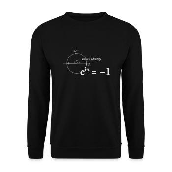 Euler Formel Mathe 2.0 - Unisex Pullover - Schwarz - Vorne - Alina (178cm) & Michal (187cm)
