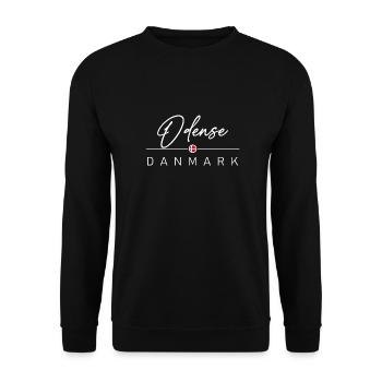 Dänemark - Odense - Danmark - Denmark - Unisex Sweatshirt - black - Front - Alina (178cm) & Michal (187cm)
