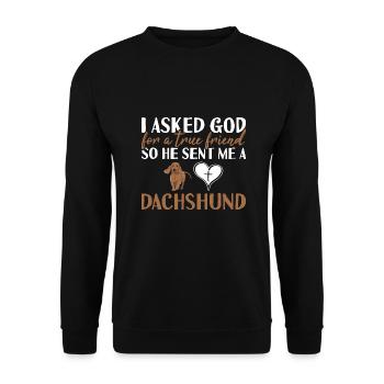 I Asked God For A True Friend Dachshund - Unisex Sweatshirt - black - Front - Alina (178cm) & Michal (187cm)