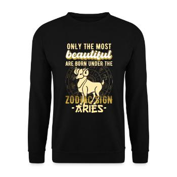 Sternzeichen Widder Astrologie Geschenk - Unisex Pullover - Schwarz - Vorne - Alina (178cm) & Michal (187cm)