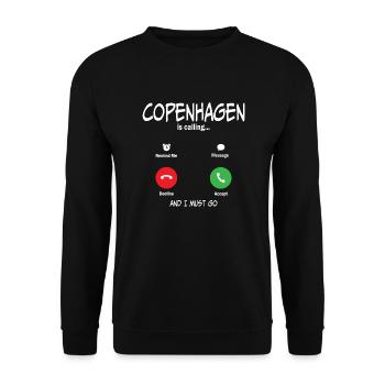 Copenhagen Geschenk Spruch Dänemark Nord - Unisex Pullover - Schwarz - Vorne - Alina (178cm) & Michal (187cm)