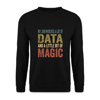 Daten Analytiker Datenschutz Beauftragter - Unisex Pullover - Schwarz - Vorne - Alina (178cm) & Michal (187cm)