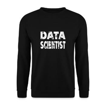 Daten Analytiker Datenschutz Beauftragter - Unisex Pullover - Schwarz - Vorne - Alina (178cm) & Michal (187cm)