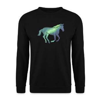 Iceland Icelandic Horse Icelandic Horse Northern Lights - Unisex Sweatshirt - black - Front - Alina (178cm) & Michal (187cm)