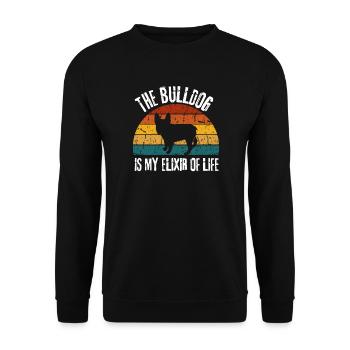 Lustiges Haustier Hund Geschenk Retro Bulldogge - Unisex Pullover - Schwarz - Vorne - Alina (178cm) & Michal (187cm)