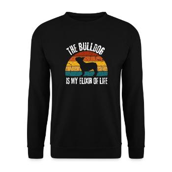 Hunde Geschenk Retro Lustiges Bulldogge - Unisex Pullover - Schwarz - Vorne - Alina (178cm) & Michal (187cm)
